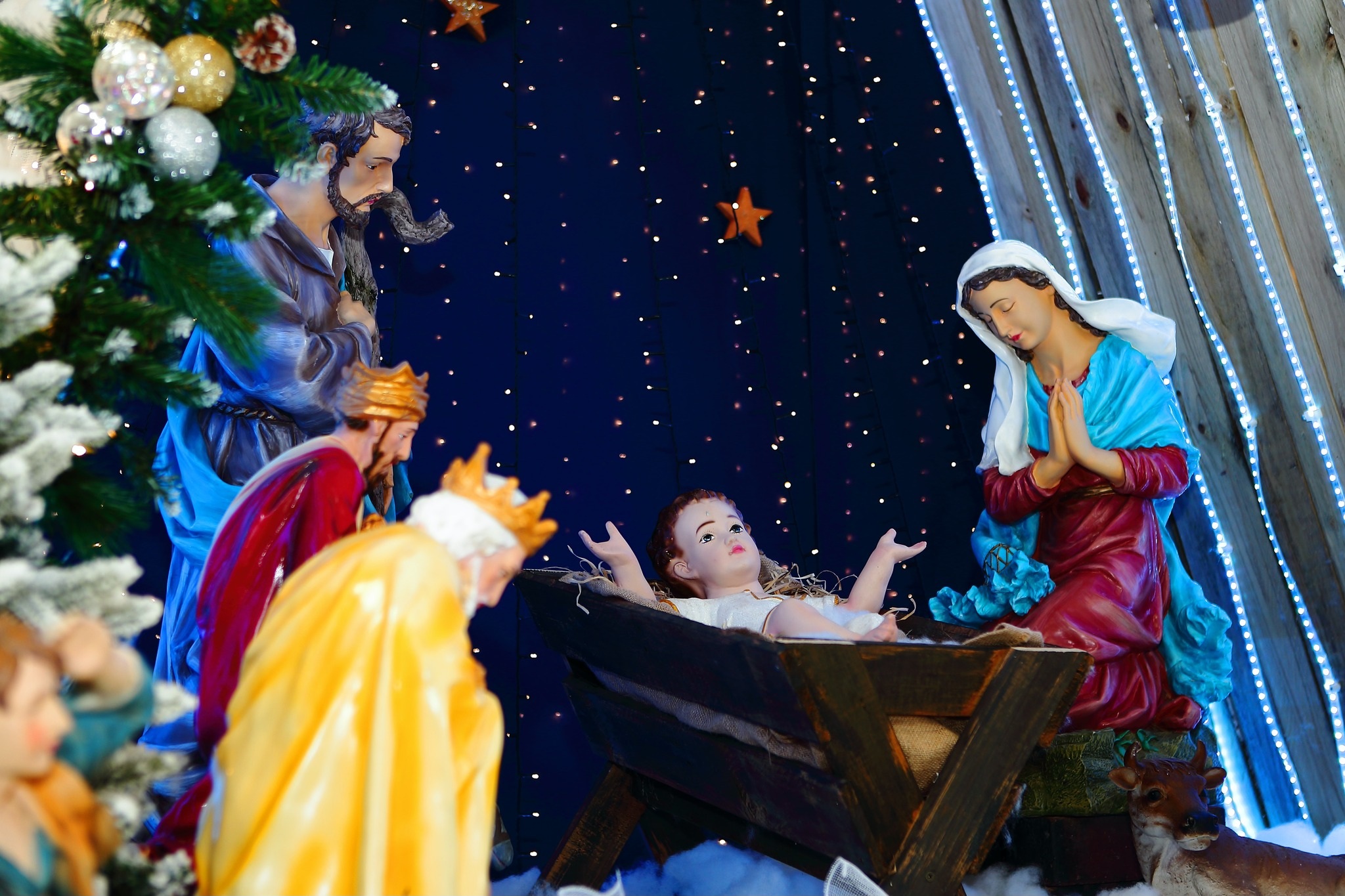 Từ ánh sáng nơi máng cỏ